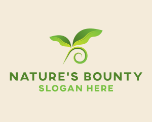 Natural Botanical Leaves logo design