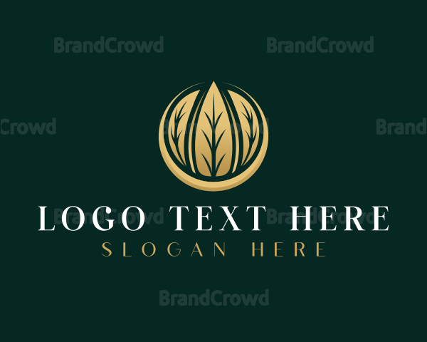 Botanical Natural Leaves Logo