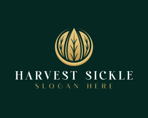 Botanical Natural Leaves logo design