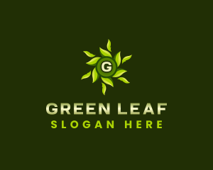 Eco Leaves Wellness logo design