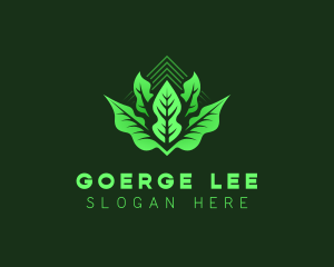 Leaf - Plant Leaf Gardening logo design