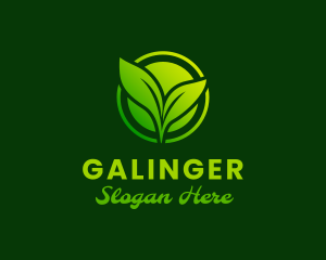 Supermarket - Green Plant Leaves logo design