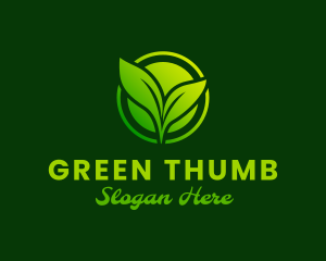 Green Plant Leaves logo design