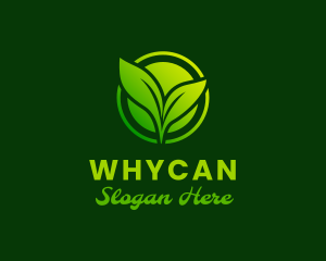 Tea - Green Plant Leaves logo design