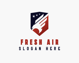 American Eagle Air Force logo design