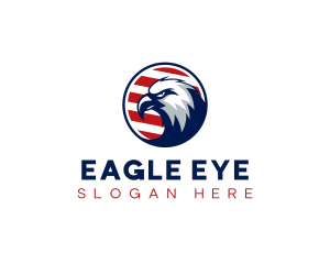 Eagle America Airforce logo design