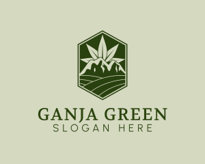 Agricultural Marijuana Farm logo design