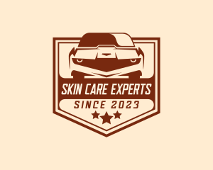 Car Care Auto Detailing logo design