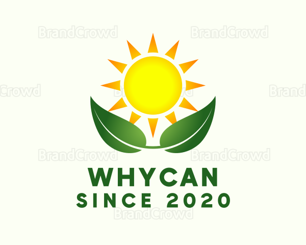 Organic Plant Sprout Farming Logo