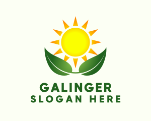 Organic Plant Sprout Farming Logo