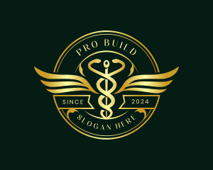 Caduceus Hospital Health Logo