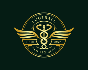 Caregiver - Caduceus Hospital Health logo design