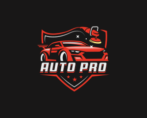 Car Auto Detailing logo design