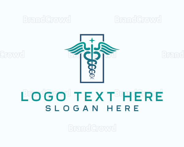 Caduceus Medical Healthcare Logo