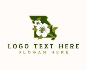 Blossom - Missouri Hawthorn Blossom Flower logo design