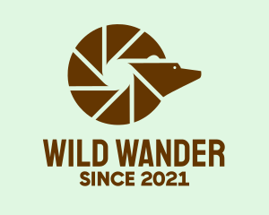 Wild Bear Camera  logo design