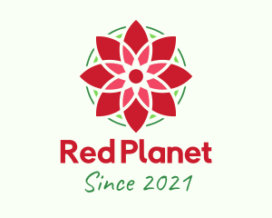 Red Poinsettia Flower logo design