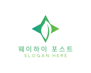 Star Leaf Plant logo design