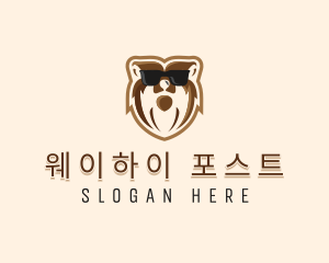 Cool Bear Sunglasses logo design