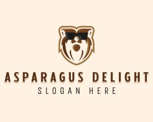 Cool Bear Sunglasses logo design