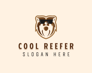 Cool Bear Sunglasses logo design