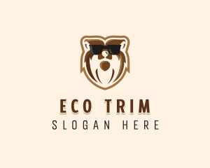 Cool Bear Sunglasses logo design