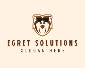 Cool Bear Sunglasses logo design