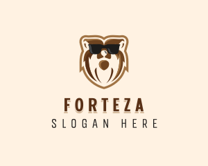 Cool Bear Sunglasses logo design