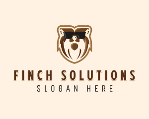 Cool Bear Sunglasses logo design