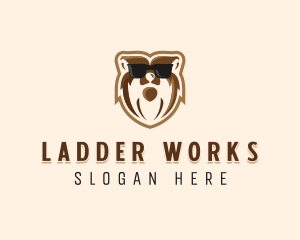 Cool Bear Sunglasses logo design