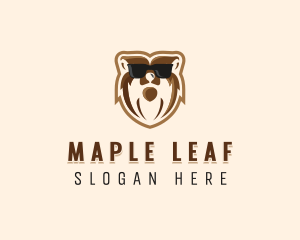 Cool Bear Sunglasses logo design