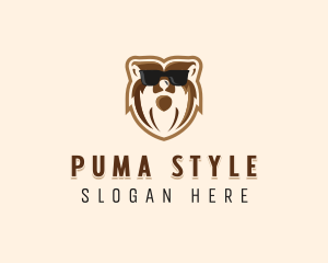 Cool Bear Sunglasses logo design