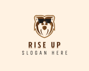 Cool Bear Sunglasses logo design