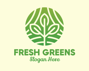 Salad - Organic Plant Farm logo design