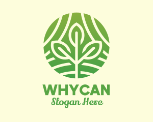 Nature - Organic Plant Farm logo design