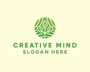 Organic Plant Farm logo design