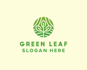 Evergreen - Organic Plant Farm logo design