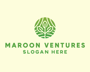 Organic Plant Farm logo design