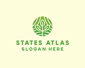 Organic Plant Farm logo design