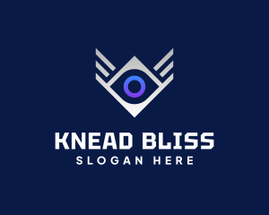 Diamond Eye Wing logo design