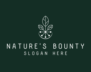 Natural Biotech Leaves logo design