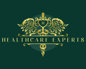 Caduceus Healthcare Medical logo design