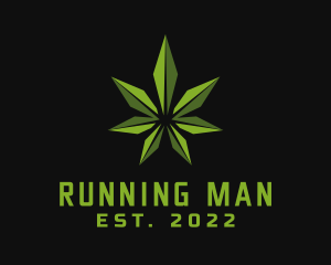 Smoking - Natural Marijuana Leaf logo design