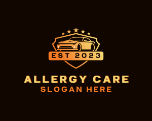 Sedan Vehicle Car Care  logo design