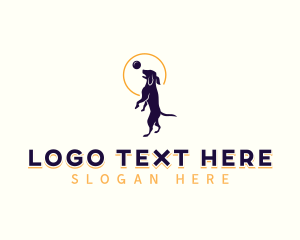 Kennel Training Dog logo design