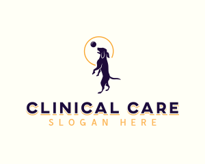 Kennel Training Dog logo design