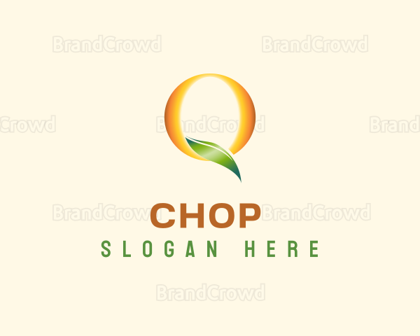 Organic Leaf Letter Q Logo
