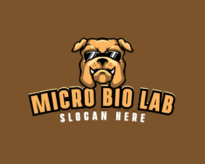 Glasses Bulldog Animal logo design