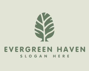 Green Pine Tree logo design