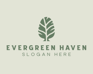 Green Pine Tree logo design